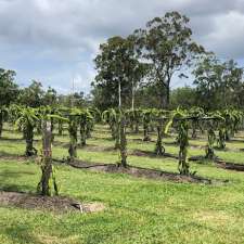 Bush to Creek Dragon Fruit | 6 Vine St, Bidwill QLD 4650, Australia