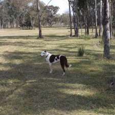 Hart Hill Camping | Hart Hill, 1180 Big Hill Rd, Thanes Creek QLD 4370, Australia