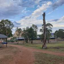 Mount Ainslie Parkrun | Unnamed Road, Campbell ACT 2612, Australia