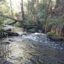 Baldry Circuit Walking Tracks | Baldry Cct, Main Ridge VIC 3928, Australia