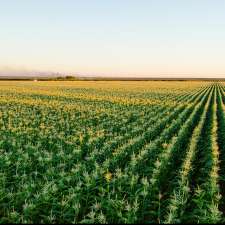 Trandos Farms | 141a Pederick Rd, Neerabup WA 6031, Australia