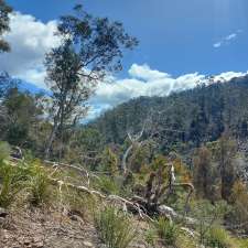 Chauncy Vale Wildlife Sanctuary | Wildlife Sanctuary, 350 Chauncy Vale Rd, Bagdad TAS 7030, Australia