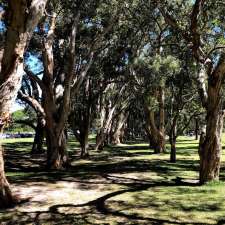 Paperbark Grove and BBQs | Park,, Centennial Park NSW 2021, Australia