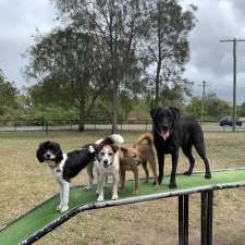 Brisbane City Dog Walking | 4 Cyril St, Camp Hill QLD 4152, Australia