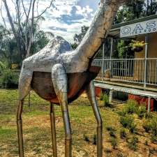 Calamunnda Camel Farm | 361 Paulls Valley Rd, Paulls Valley WA 6076, Australia