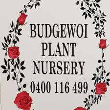 Budgewoi Plant Nursery | 101 Woolana Ave, Halekulani NSW 2262, Australia
