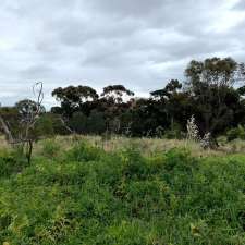 Melbourne Royal Park White's Skink Habitat | Parkville VIC 3052, Australia
