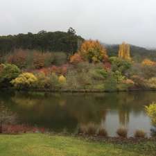 Mount Lofty Botanic Gardens, Lower Car Park | Unnamed Road, Crafers SA 5152, Australia