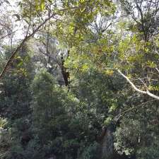 Bidjigal Reserve | Baulkham Hills NSW 2153, Australia