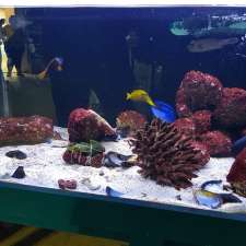 Aquariums At Cranbourne | 14 Cooper Ct, Cranbourne VIC 3977, Australia