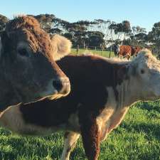 SageFarm - No Ordinary Farm | 2430 Midland Hwy, Bannockburn VIC 3331, Australia