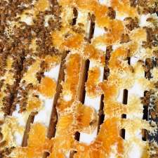 Bees Knees Honey Company | 8 Craigie Dr, Roelands WA 6233, Australia