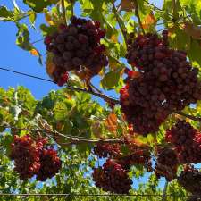 Grapes on Swan | 165 Swan St, Henley Brook WA 6055, Australia