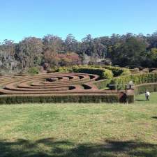 Bago Winery and Hedge Maze | &, Lambs Road, Milligans Rd, Herons Creek NSW 2443, Australia