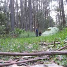 Stronachs Camping Area | Jericho VIC 3833, Australia