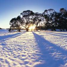 Snow Trip Australia | 42 Macaulay St, Williamstown North VIC 3016, Australia
