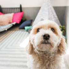 Hanrob Pet Hotels Canberra | 88 Mugga Ln, Symonston ACT 2609, Australia