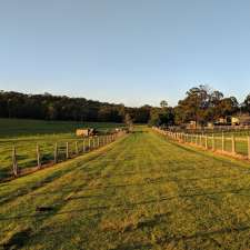 Rainbow Flat Camp & Horse Agistment | 15510 Pacific Hwy, Rainbow Flat NSW 2430, Australia