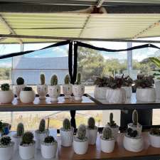 Truong Flower | 294 Pinjar Rd, Mariginiup WA 6078, Australia