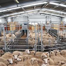 ProWay Livestock Equipment - Casterton Office | 74 Henty St, Casterton VIC 3311, Australia