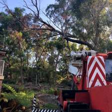 All Access Tree Services | 157 Fisher Rd, Maraylya NSW 2765, Australia