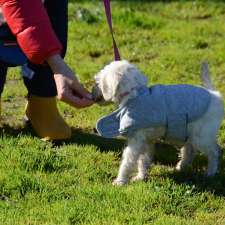 Gentle Modern School of Dog Training | Warringal Parklands, Near, Plymouth St, Heidelberg VIC 3084, Australia