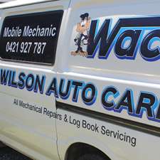 Wilson Auto Care | 1099 David Low Way, Marcoola QLD 4564, Australia