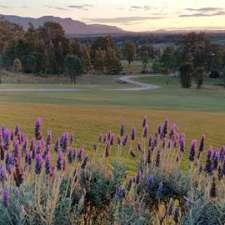 Macquariedale Organic Wines | 1335 Pinnacle Rd, Canobolas NSW 2800, Australia