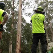 Tree Range Arborists Pty Ltd | 29 Lisheen Rd, Cockatoo VIC 3781, Australia