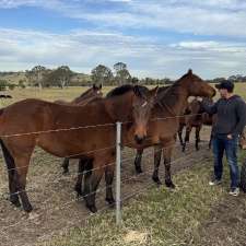 Mattana Farm | 143 Little Frst Rd, Little Forest NSW 2538, Australia