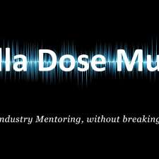 Bella Dose Music | 20 Annette Cl, Woodberry NSW 2322, Australia