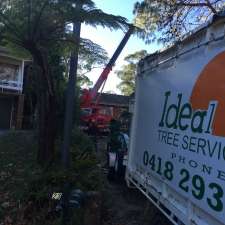 Ideal tree services P/L | 48 Maitland St, Davidson NSW 2085, Australia