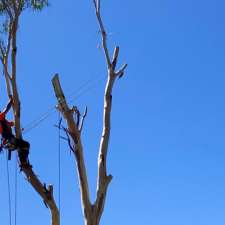 Arcadia Tree Care | 165 The Esplanade, Lower King WA 6330, Australia