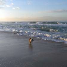 Greenhills Beach Dog Off Lead | Greenhills St, Kurnell NSW 2231, Australia