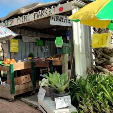 Joes Mini Market | 49 Wattle Rd, Ingleside NSW 2101, Australia