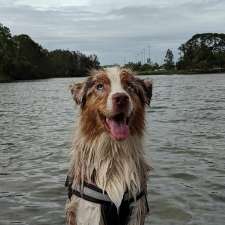 Pizzey Offleash Dog Area | 24 Pizzey Dr, Mermaid Waters QLD 4218, Australia
