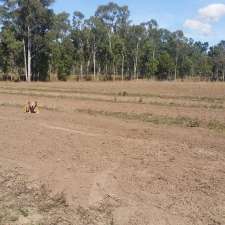 Jones Dirt Farm | 1435 Emu Park Rd, Nankin QLD 4701, Australia