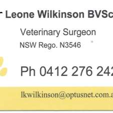 Dr Leone Wilkinson Veterinary Services | 1022 Naughtons Gap Rd, Bentley NSW 2480, Australia