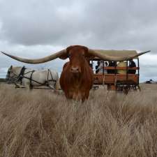 Leahton Park | Urdera Rd, Charters Towers City QLD 4820, Australia