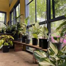 Seven Hills Nursery | 1 Campion Rd, Newlyn North VIC 3364, Australia