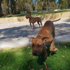 Balga Dog Park | Balga WA 6061, Australia
