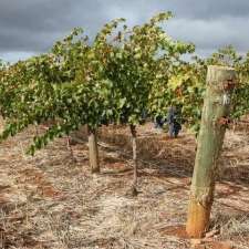 Top Notch Wine Tours | 3 Chappell Dr, Glenelg SA 5045, Australia