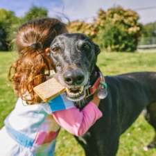 The Dog Clinic Hobart - Veterinary care exclusively for dogs | 4/148 Channel Hwy, Taroona TAS 7053, Australia