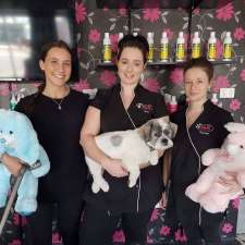 Tori's Pet Grooming | 39 Station St, Weston NSW 2326, Australia