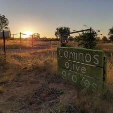 Cominos Olive Groves | 2030 Stonehenge Rd, Millmerran QLD 4357, Australia