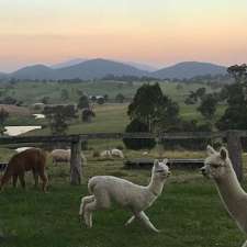 Tandarra Hilltop Farm | 121 Gillespies Rd, Yowrie NSW 2550, Australia