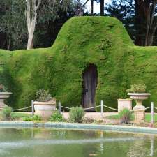 Ashcombe Maze & Lavender Gardens | 15 Red Hill-Shoreham Rd, Shoreham VIC 3916, Australia