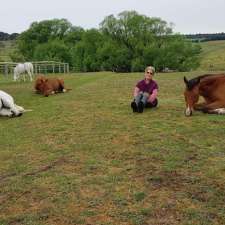 Horses Teaching Humans | Rubyvale, Laggan NSW 2583, Australia