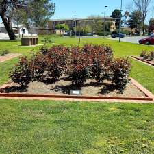 Queanbeyan Memorial Rose Garden | 17 Antill St, Queanbeyan NSW 2620, Australia