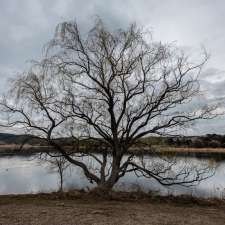 Lake Wallace Playground - Barton Ave, Wallerawang NSW 2845, Australia